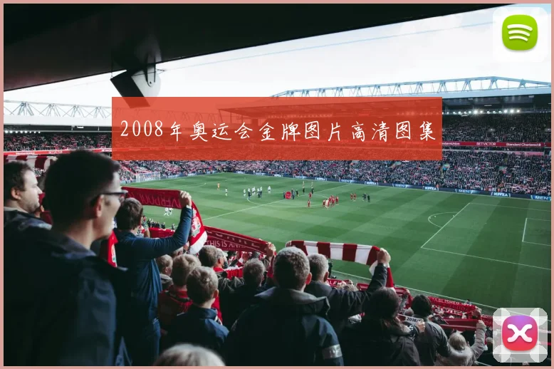 2008年奥运会金牌图片高清图集
