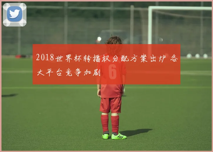 2018世界杯转播权分配方案出炉 各大平台竞争加剧
